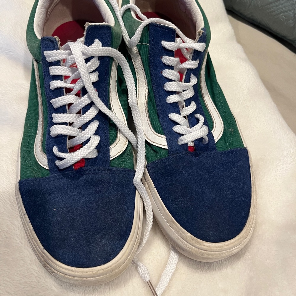 Multicolor Vans shoes